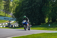 Lower Group Blue Bikes